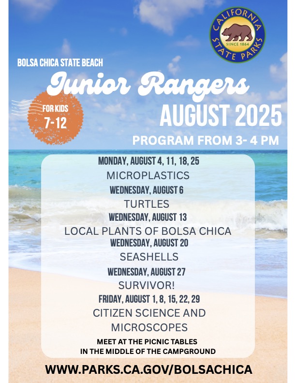 Bolsa Chica State Beach offers a Junior Rangers program for some Mondays, Wednesdays Fridays in August from 3-4pm. Monday August 4th, 11th, 18th, and 25th is themed around microplastics. The themes for Wednesdays are August 6th Turtles, August 13th Local Plants of Bolsa Chica, August 20th Seashells, August 27th Survivor! Friday August 1st, 8th, 15th, 22nd, 29th are citizen science and microscopes. For kids ages 7-12. Meet at the picnic tables in the middle of the campground. A weblink at the bottom lists “www.parks.ca.gov/bolsachica” In the background of the flyer is a blue sky, blue ocean, and a wave crashing on the shore. 